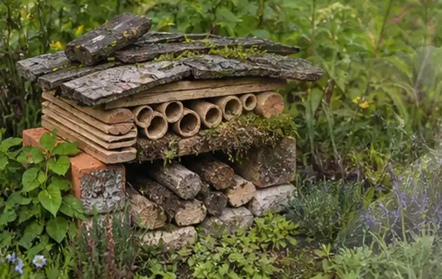 Naturnaher Unterschlupf aus Holz Rinde und Pflanzenstängeln im Garten; Thema Rostpilze, Schwerpunkt Pflanzenhilfe; Umsetzung.