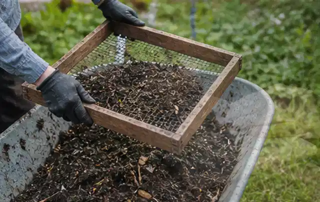 Behandschuhte Hände sieben reifen Kompost über einer Gartenschubkarre; Thema Rote Bete, Schwerpunkt Aussaat; Ausgangslage.