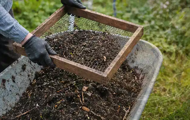 Behandschuhte Hände sieben reifen Kompost über einer Gartenschubkarre; Thema Rote Bete, Schwerpunkt Einsteigerwissen; Ergebnis.