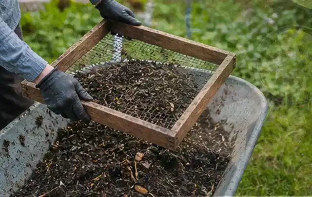 Behandschuhte Hände sieben reifen Kompost über einer Gartenschubkarre; Thema Rote Bete, Schwerpunkt Nährstoffe; Ausgangslage.