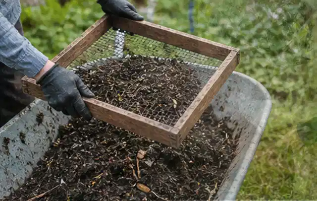 Behandschuhte Hände sieben reifen Kompost über einer Gartenschubkarre; Thema Rote Bete, Schwerpunkt Saisonkalender; Kontrolle.