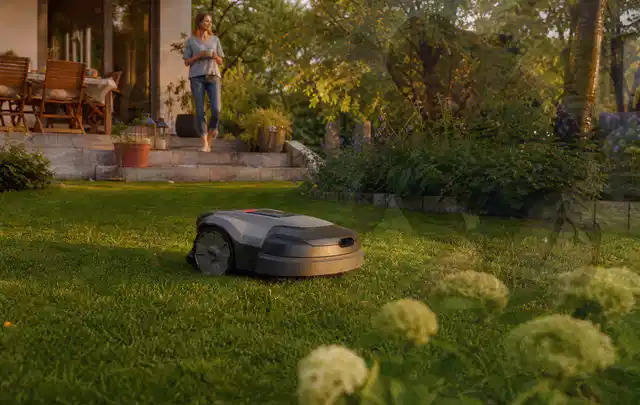 Mähroboter fährt am Abend über einen Rasen im Familiengarten; Thema RTK Mähroboter, Schwerpunkt Anwendung; Praxisalltag.