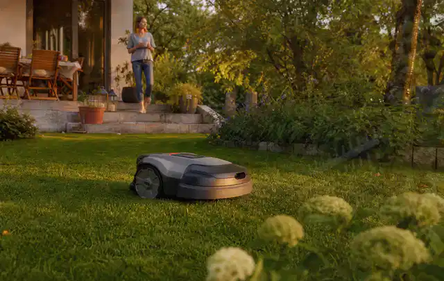 Mähroboter fährt am Abend über einen Rasen im Familiengarten; Thema RTK Mähroboter, Schwerpunkt Bestenliste; Ergebnis.