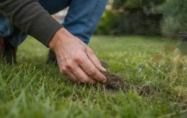 Hand hebt eine kleine Bodenprobe aus einer grünen Rasenfläche; Thema RTK Mähroboter, Schwerpunkt Ersatzteile; Kontrolle.