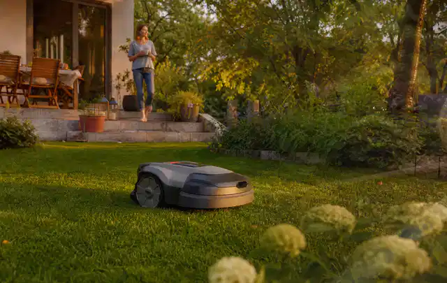 Mähroboter fährt am Abend über einen Rasen im Familiengarten; Thema RTK Mähroboter, Schwerpunkt Gärten mit großer Fläche; Umsetzung.