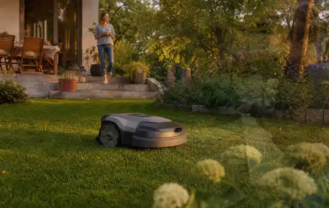 Mähroboter fährt am Abend über einen Rasen im Familiengarten; Thema RTK Mähroboter, Schwerpunkt Gärten mit kleiner Fläche; Umsetzung.