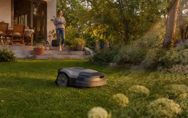 Mähroboter fährt am Abend über einen Rasen im Familiengarten; Thema RTK Mähroboter, Schwerpunkt Kaufberatung; Praxisalltag.