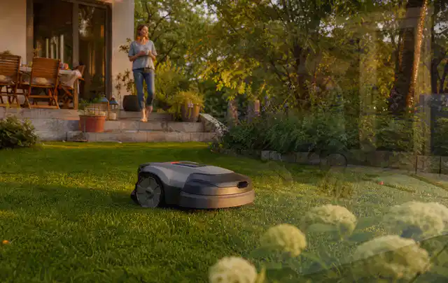 Mähroboter fährt am Abend über einen Rasen im Familiengarten; Thema RTK Mähroboter, Schwerpunkt Kosten; Praxisalltag.