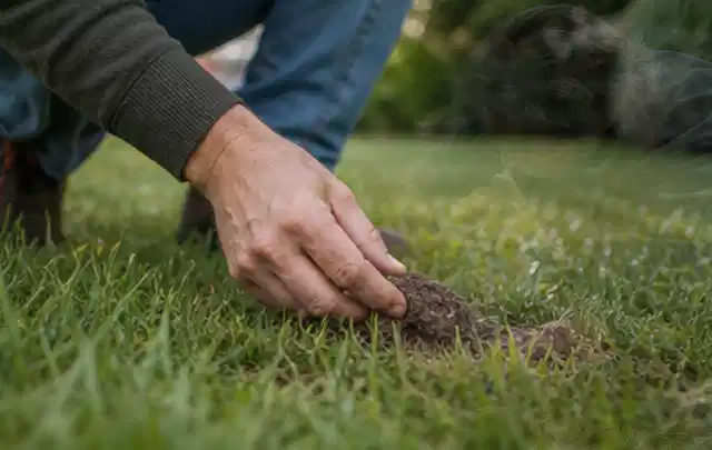 Hand hebt eine kleine Bodenprobe aus einer grünen Rasenfläche; Thema RTK Mähroboter, Schwerpunkt Mähroboter; Umsetzung.