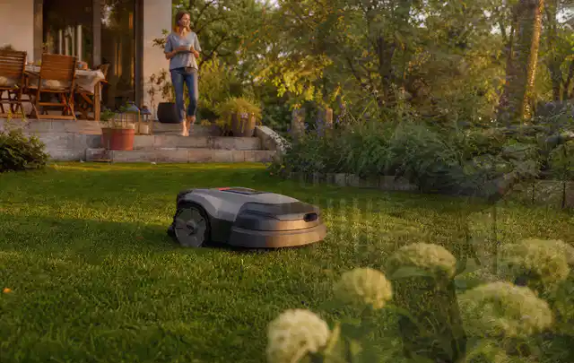Mähroboter fährt am Abend über einen Rasen im Familiengarten; Thema RTK Mähroboter, Schwerpunkt Nachhaltigkeit; Umsetzung.