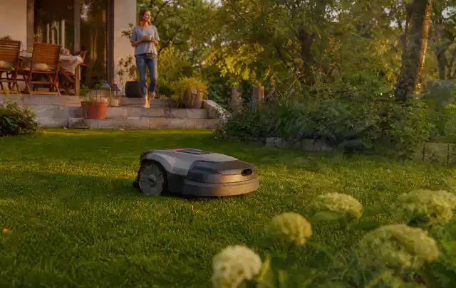 Mähroboter fährt am Abend über einen Rasen im Familiengarten; Thema RTK Mähroboter, Schwerpunkt Reinigung; Kontrolle.