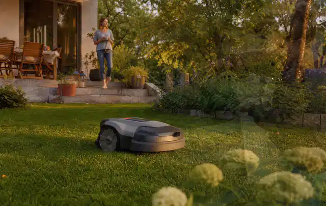 Mähroboter fährt am Abend über einen Rasen im Familiengarten; Thema RTK Mähroboter, Schwerpunkt Sicherheit; Kontrolle.