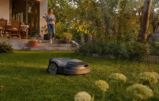 Mähroboter fährt am Abend über einen Rasen im Familiengarten; Thema RTK Mähroboter, Schwerpunkt Vergleich; Ausgangslage.