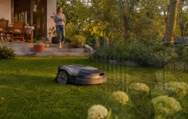 Mähroboter fährt am Abend über einen Rasen im Familiengarten; Thema RTK Mähroboter, Schwerpunkt Wartung; Umsetzung.