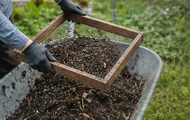 Behandschuhte Hände sieben reifen Kompost über einer Gartenschubkarre; Thema Salat, Schwerpunkt Einsteigerwissen; Ausgangslage.