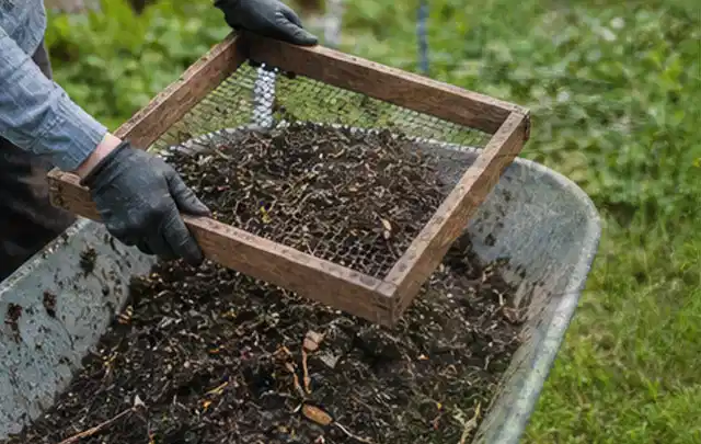 Behandschuhte Hände sieben reifen Kompost über einer Gartenschubkarre; Thema Salat, Schwerpunkt Gemüse; Ausgangslage.