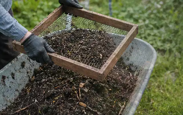 Behandschuhte Hände sieben reifen Kompost über einer Gartenschubkarre; Thema Salat, Schwerpunkt Saisonkalender; Ergebnis.