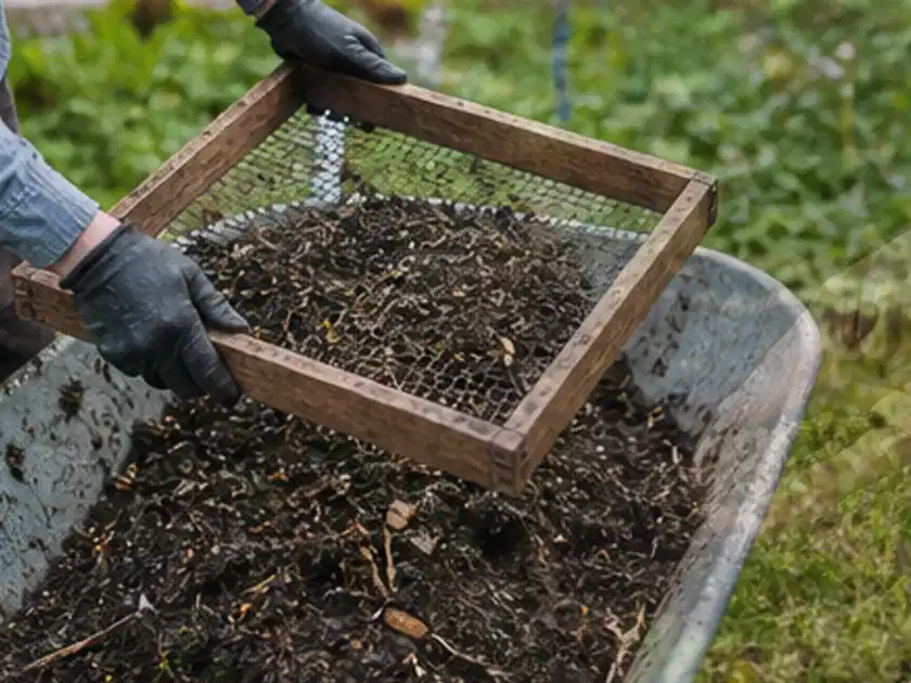 Behandschuhte Hände sieben reifen Kompost über einer Gartenschubkarre; Thema Salat, Schwerpunkt Schnitt; Titelbild.