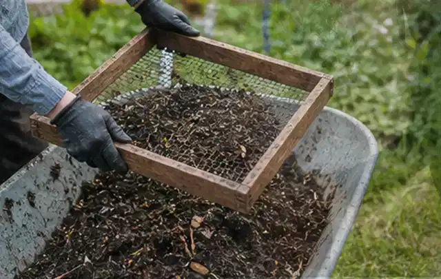 Behandschuhte Hände sieben reifen Kompost über einer Gartenschubkarre; Thema Salat, Schwerpunkt Sortenwahl; Umsetzung.