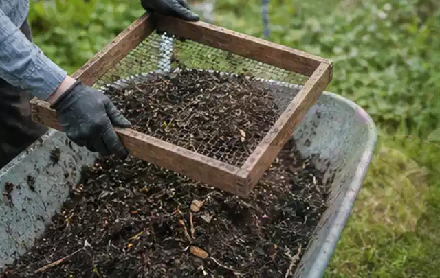 Behandschuhte Hände sieben reifen Kompost über einer Gartenschubkarre; Thema Salat, Schwerpunkt Standort; Ausgangslage.