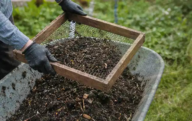Behandschuhte Hände sieben reifen Kompost über einer Gartenschubkarre; Thema Salbei, Schwerpunkt Bewässerung; Praxisalltag.
