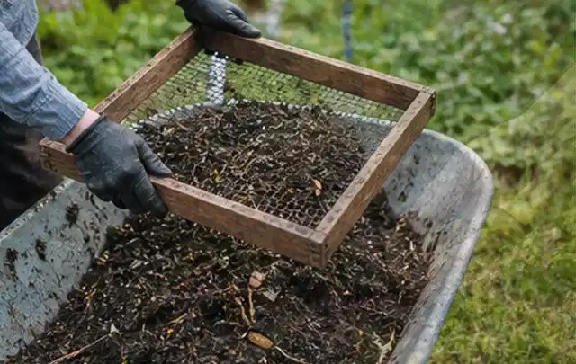 Behandschuhte Hände sieben reifen Kompost über einer Gartenschubkarre; Thema Salbei, Schwerpunkt Boden; Kontrolle.