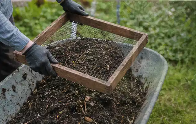 Behandschuhte Hände sieben reifen Kompost über einer Gartenschubkarre; Thema Salbei, Schwerpunkt Standort; Umsetzung.