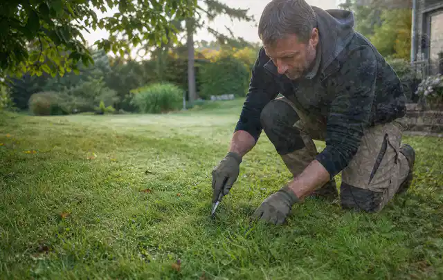 Person prüft den Boden einer gepflegten Rasenfläche im Garten; Thema Schattenrasen, Schwerpunkt Bewässerung; Ausgangslage.