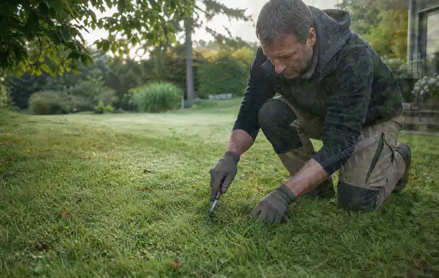 Person prüft den Boden einer gepflegten Rasenfläche im Garten; Thema Schattenrasen, Schwerpunkt Bodenpflege; Kontrolle.