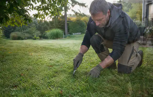 Person prüft den Boden einer gepflegten Rasenfläche im Garten; Thema Schattenrasen, Schwerpunkt Checkliste; Ausgangslage.