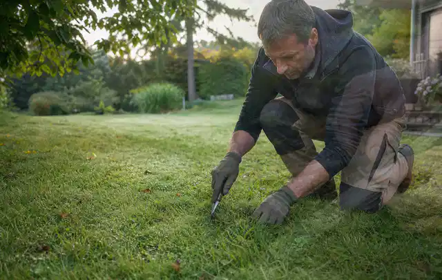 Person prüft den Boden einer gepflegten Rasenfläche im Garten; Thema Schattenrasen, Schwerpunkt Düngung; Praxisalltag.