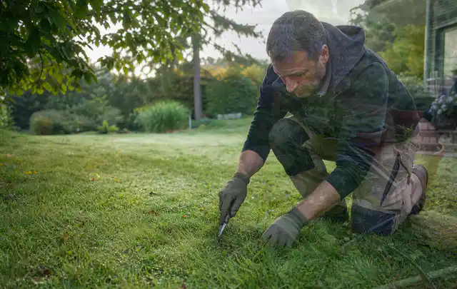 Person prüft den Boden einer gepflegten Rasenfläche im Garten; Thema Schattenrasen, Schwerpunkt Fehlerhilfe; Ausgangslage.