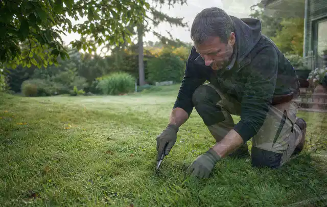 Person prüft den Boden einer gepflegten Rasenfläche im Garten; Thema Schattenrasen, Schwerpunkt Herbstpflege; Kontrolle.
