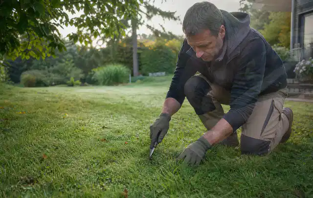 Person prüft den Boden einer gepflegten Rasenfläche im Garten; Thema Schattenrasen, Schwerpunkt Hitzeschutz; Praxisalltag.
