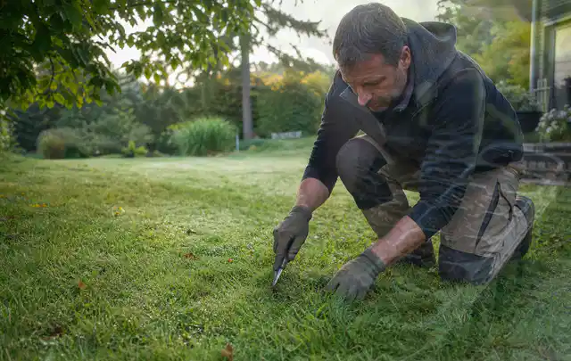 Person prüft den Boden einer gepflegten Rasenfläche im Garten; Thema Schattenrasen, Schwerpunkt Kosten; Kontrolle.
