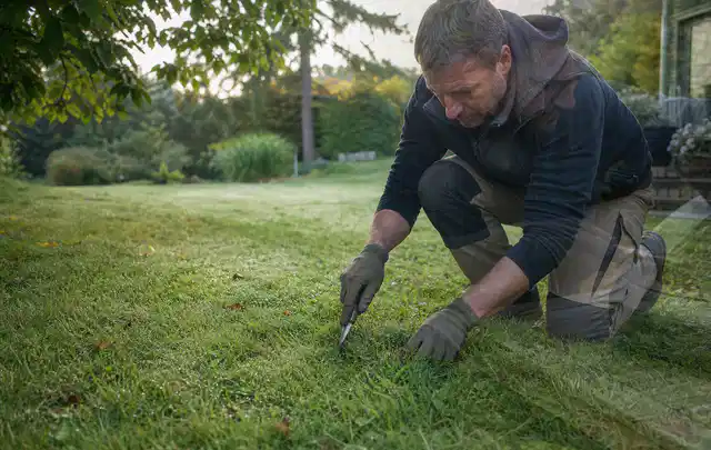 Person prüft den Boden einer gepflegten Rasenfläche im Garten; Thema Schattenrasen, Schwerpunkt Moos; Ausgangslage.