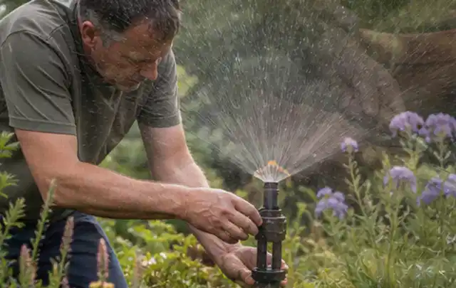 Person richtet einen laufenden Gartensprenger zwischen Stauden präzise aus; Thema Schattenrasen, Schwerpunkt Moos; Ergebnis.