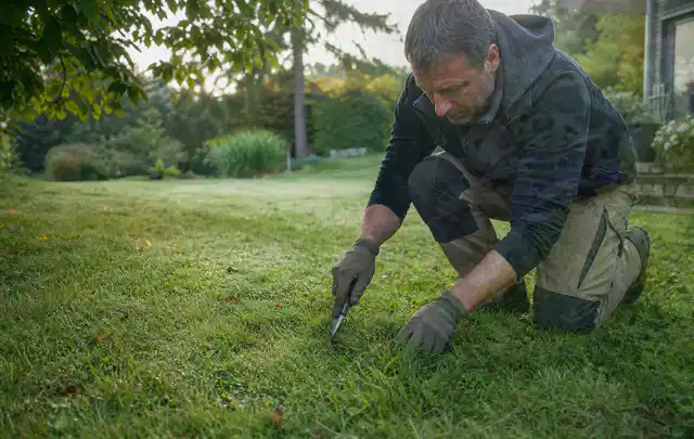 Person prüft den Boden einer gepflegten Rasenfläche im Garten; Thema Schattenrasen, Schwerpunkt Nachsaat; Umsetzung.