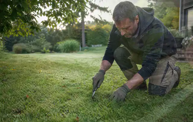 Person prüft den Boden einer gepflegten Rasenfläche im Garten; Thema Schattenrasen, Schwerpunkt Rasen; Umsetzung.
