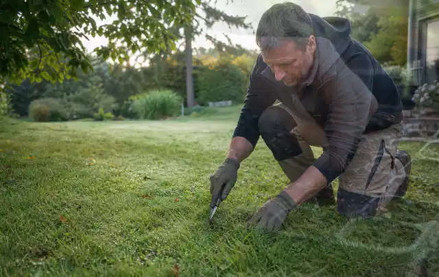 Person prüft den Boden einer gepflegten Rasenfläche im Garten; Thema Schattenrasen, Schwerpunkt Rasengesundheit; Umsetzung.