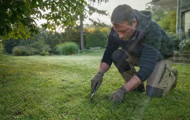 Person prüft den Boden einer gepflegten Rasenfläche im Garten; Thema Schattenrasen, Schwerpunkt Unkraut; Praxisalltag.