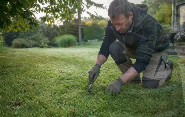 Person prüft den Boden einer gepflegten Rasenfläche im Garten; Thema Schattenrasen, Schwerpunkt Winterpflege; Ausgangslage.