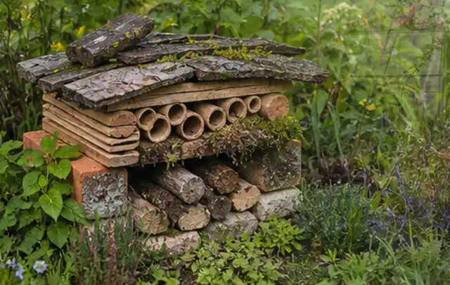 Naturnaher Unterschlupf aus Holz Rinde und Pflanzenstängeln im Garten; Thema Schnecken, Schwerpunkt Bestimmung; Kontrolle.