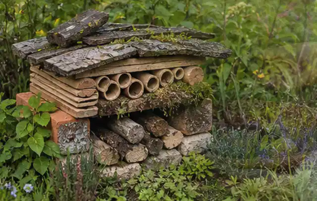 Naturnaher Unterschlupf aus Holz Rinde und Pflanzenstängeln im Garten; Thema Schnecken, Schwerpunkt Biologie; Praxisalltag.