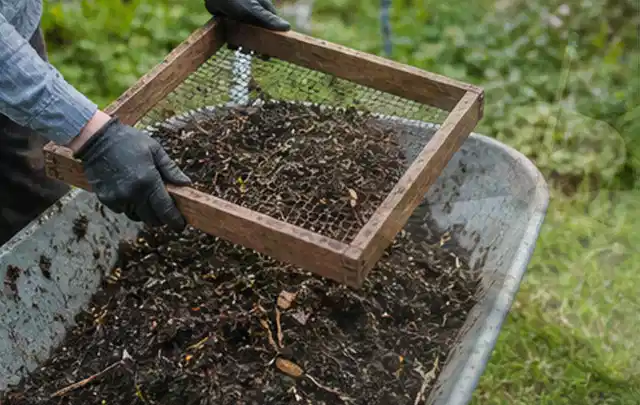 Behandschuhte Hände sieben reifen Kompost über einer Gartenschubkarre; Thema Schnittlauch, Schwerpunkt Balkongarten; Kontrolle.