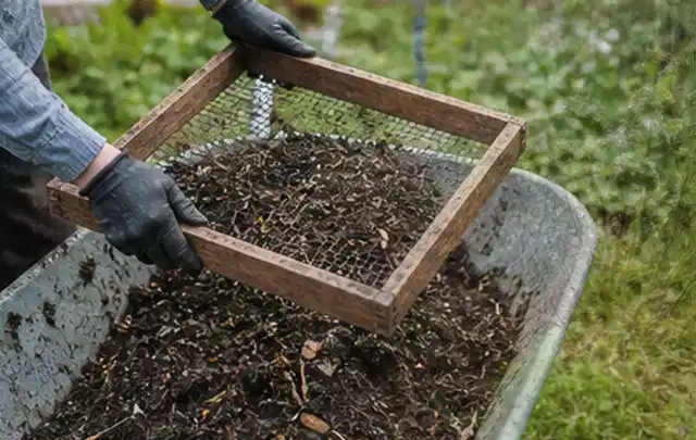 Behandschuhte Hände sieben reifen Kompost über einer Gartenschubkarre; Thema Schnittlauch, Schwerpunkt Ernteprobleme; Ergebnis.