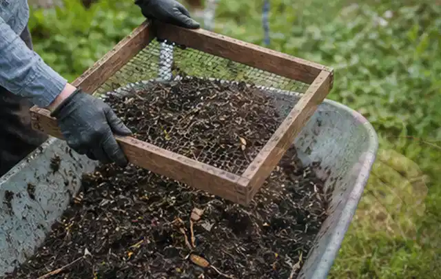 Behandschuhte Hände sieben reifen Kompost über einer Gartenschubkarre; Thema Schnittlauch, Schwerpunkt Gesundheit; Ergebnis.