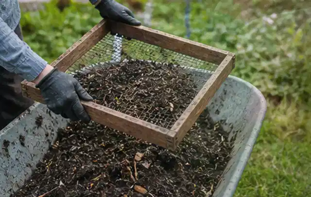 Behandschuhte Hände sieben reifen Kompost über einer Gartenschubkarre; Thema Schnittlauch, Schwerpunkt Lagerung; Ergebnis.