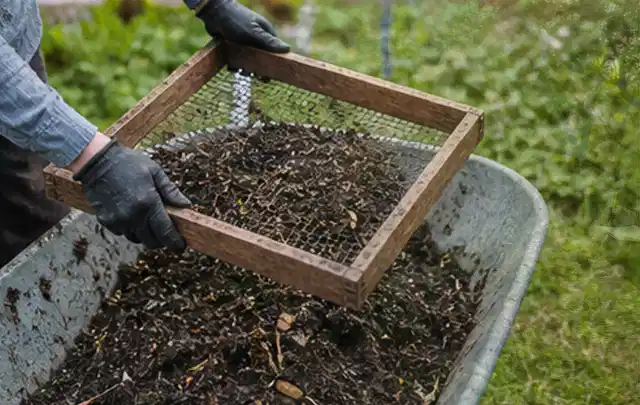 Behandschuhte Hände sieben reifen Kompost über einer Gartenschubkarre; Thema Schnittlauch, Schwerpunkt Saisonkalender; Praxisalltag.