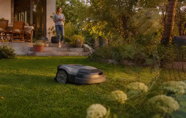 Mähroboter fährt am Abend über einen Rasen im Familiengarten; Thema Segway Navimow, Schwerpunkt Bestenliste; Ausgangslage.
